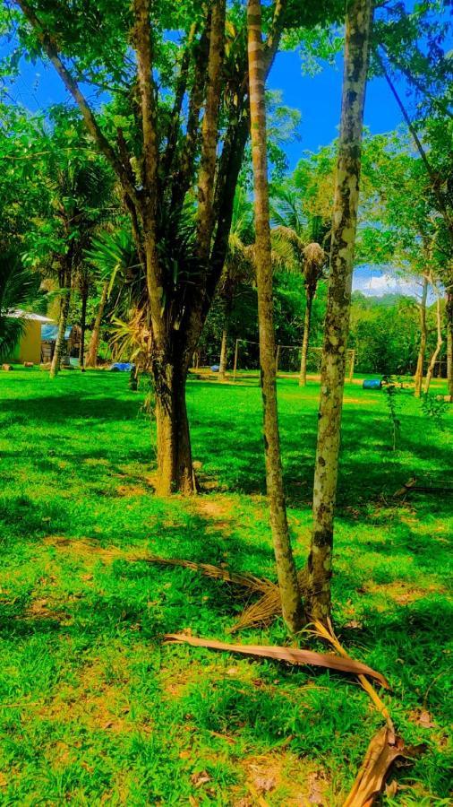 Parati Suite المظهر الخارجي الصورة