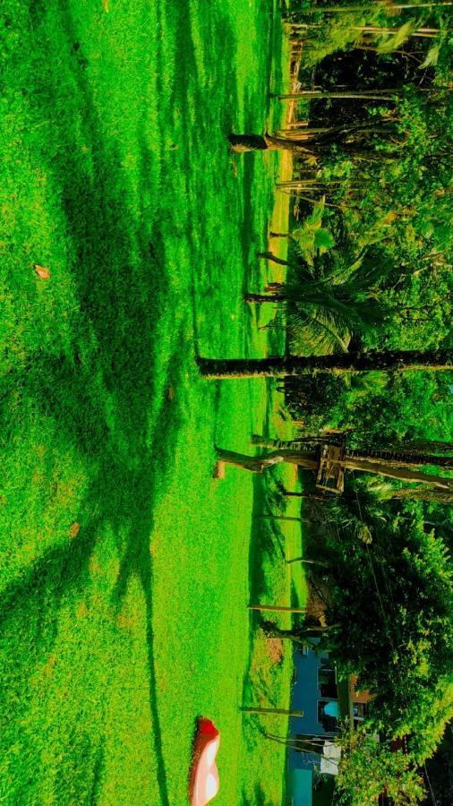 Parati Suite المظهر الخارجي الصورة