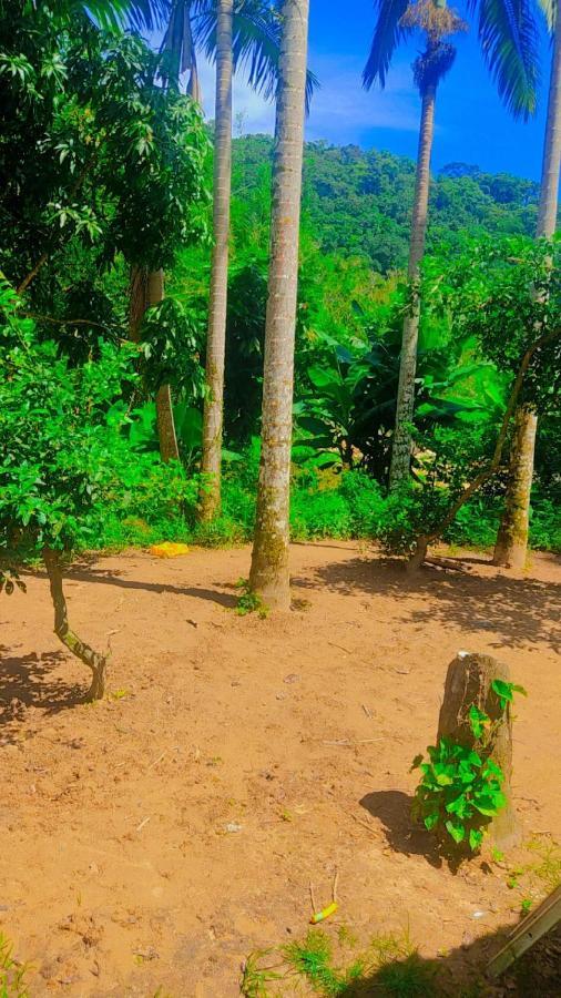 Parati Suite المظهر الخارجي الصورة
