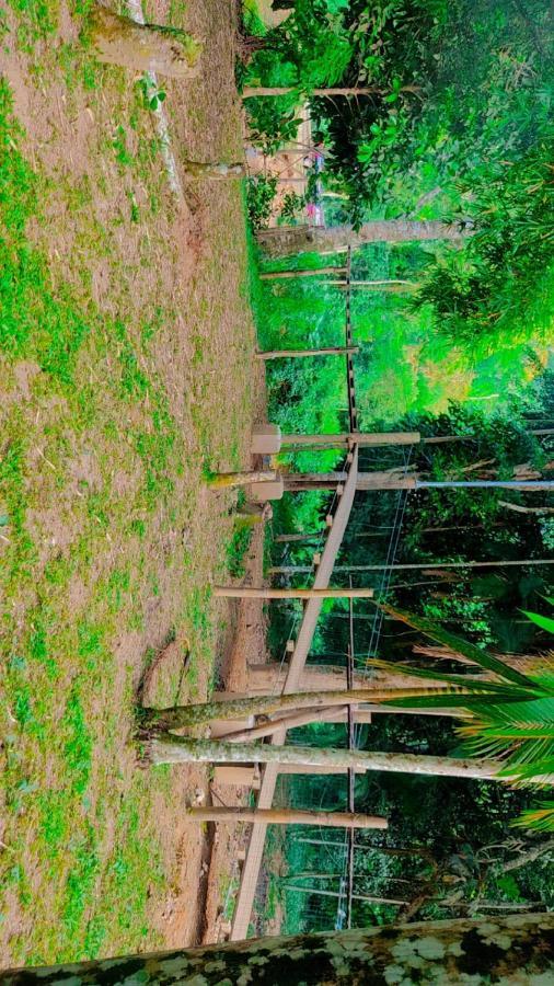Parati Suite المظهر الخارجي الصورة